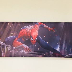 New Spider Man Canvas for Room Decor