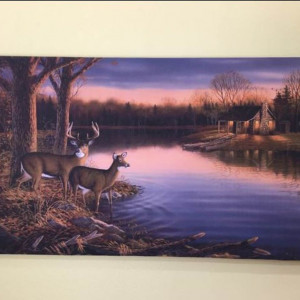 New Deer Canvas with Cabin for Home Decor/Gifting